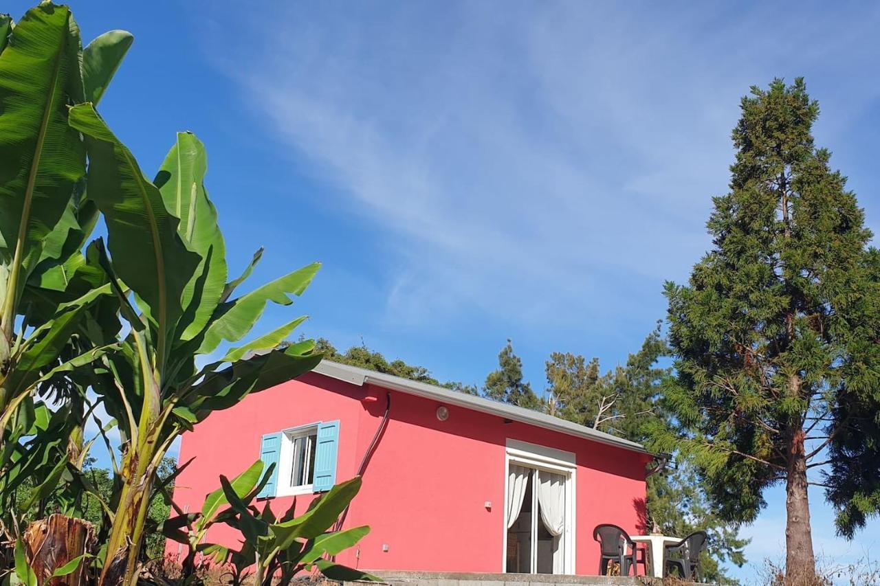 Au Coeur Des Plantations Konuk evi La Possession Dış mekan fotoğraf