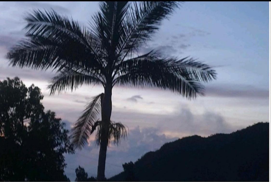 Au Coeur Des Plantations Konuk evi La Possession Dış mekan fotoğraf