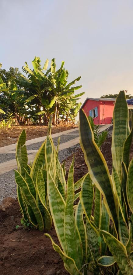 Au Coeur Des Plantations Konuk evi La Possession Dış mekan fotoğraf
