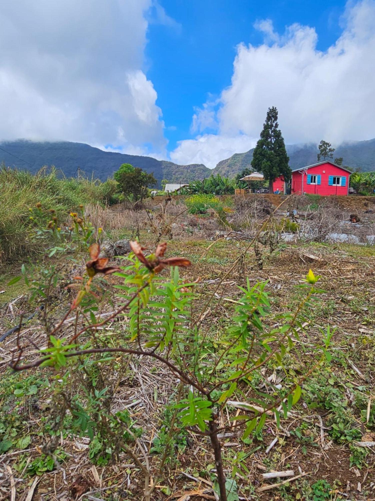 Au Coeur Des Plantations Konuk evi La Possession Dış mekan fotoğraf